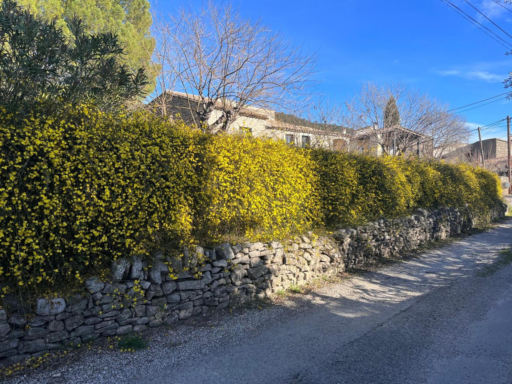 L'Ostal Du Pic Saint Loup Aux Embruscalles Claret Exteriér fotografie